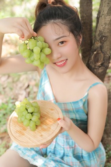 沧元图在线观看全集免费高清